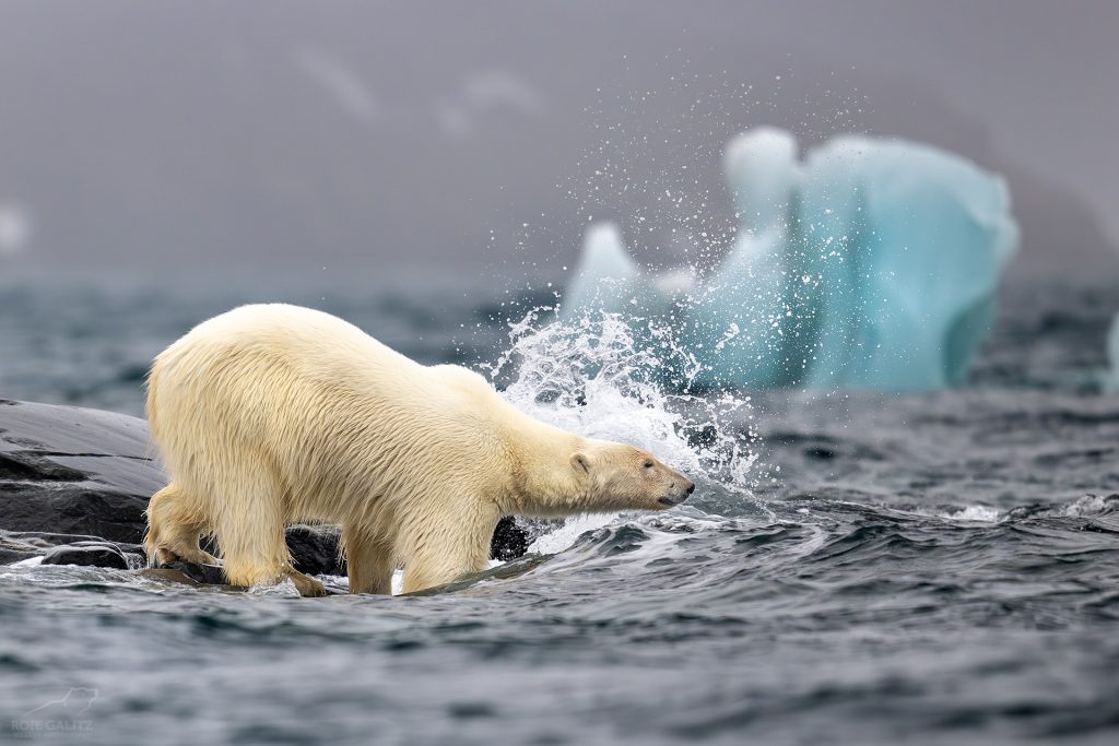 Svalbard