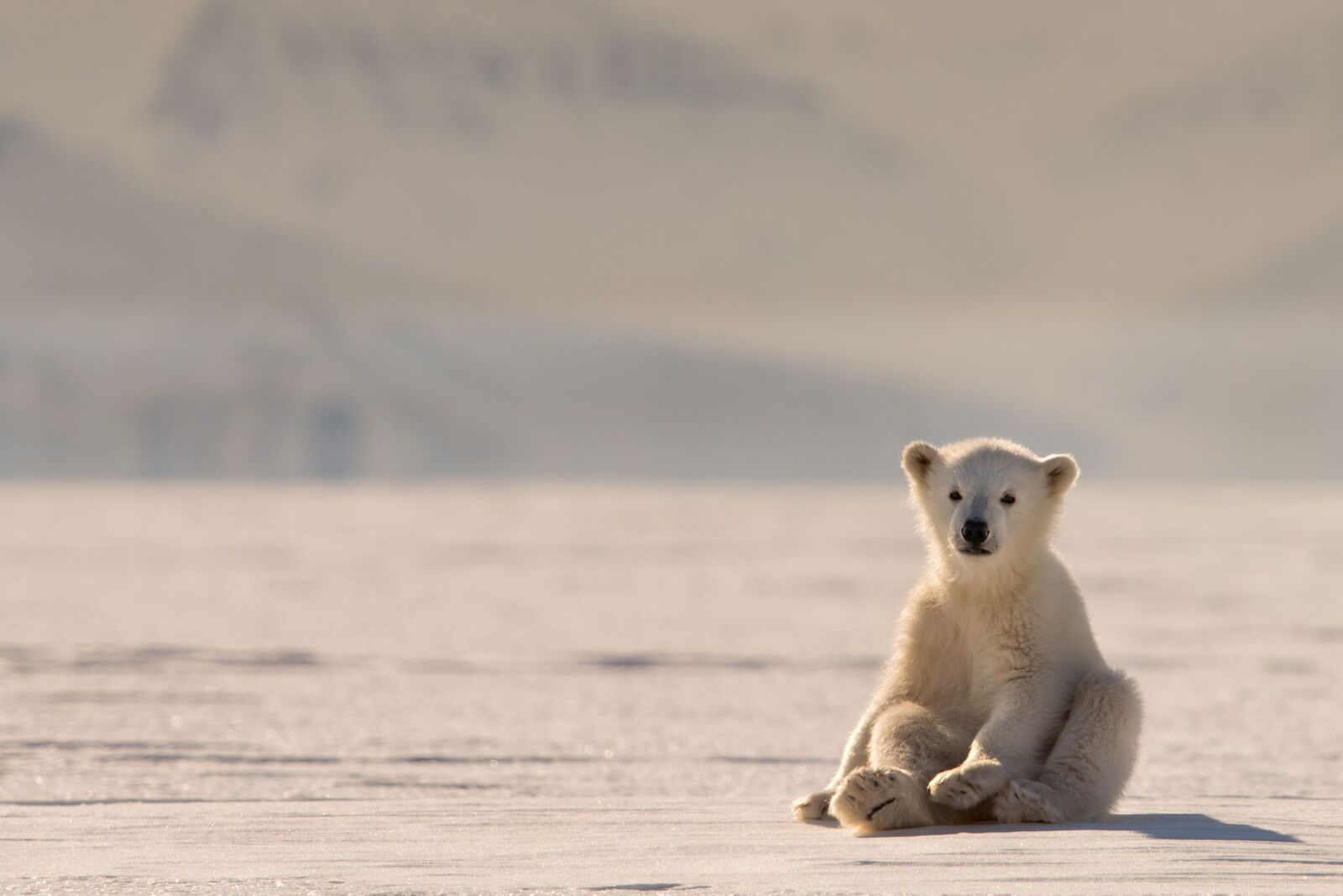 Svalbard