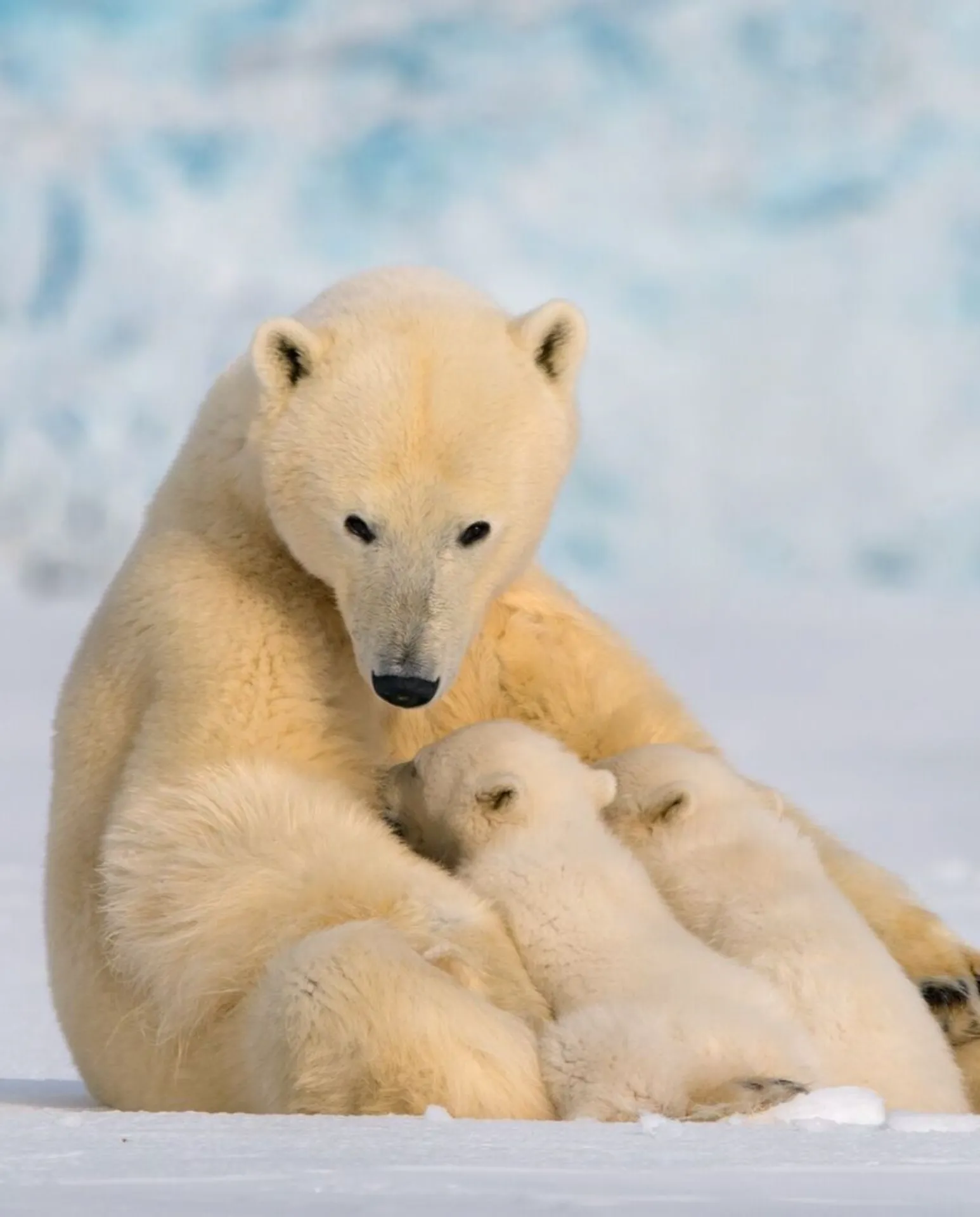 Svalbard