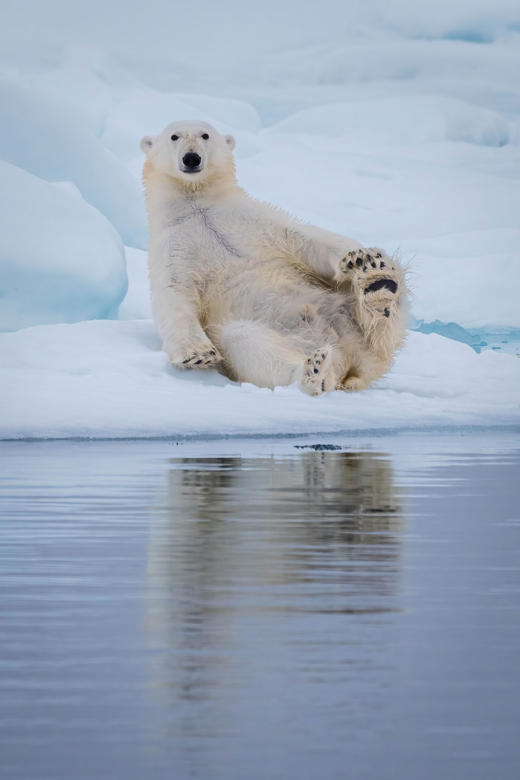 Svalbard