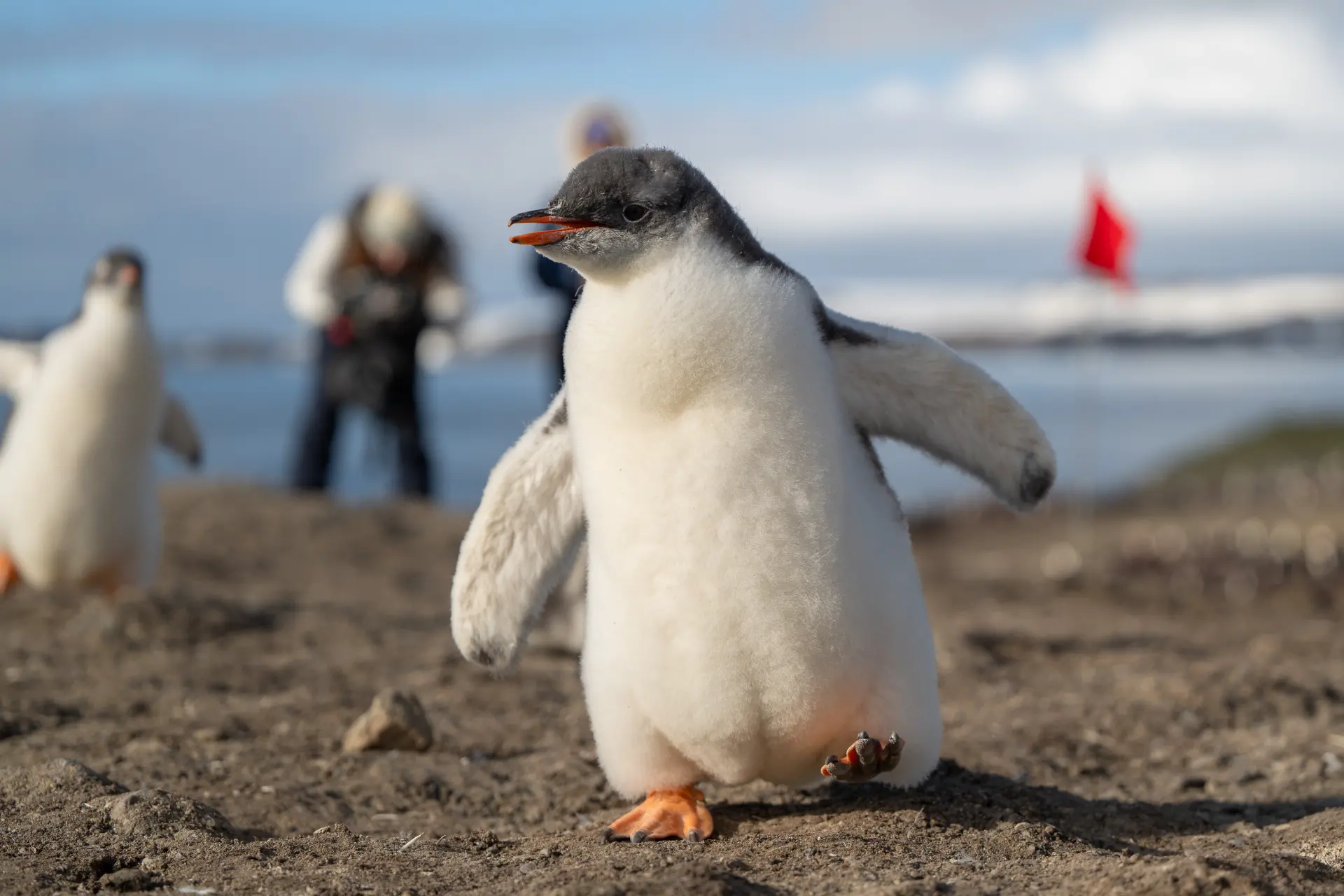 Antarctica