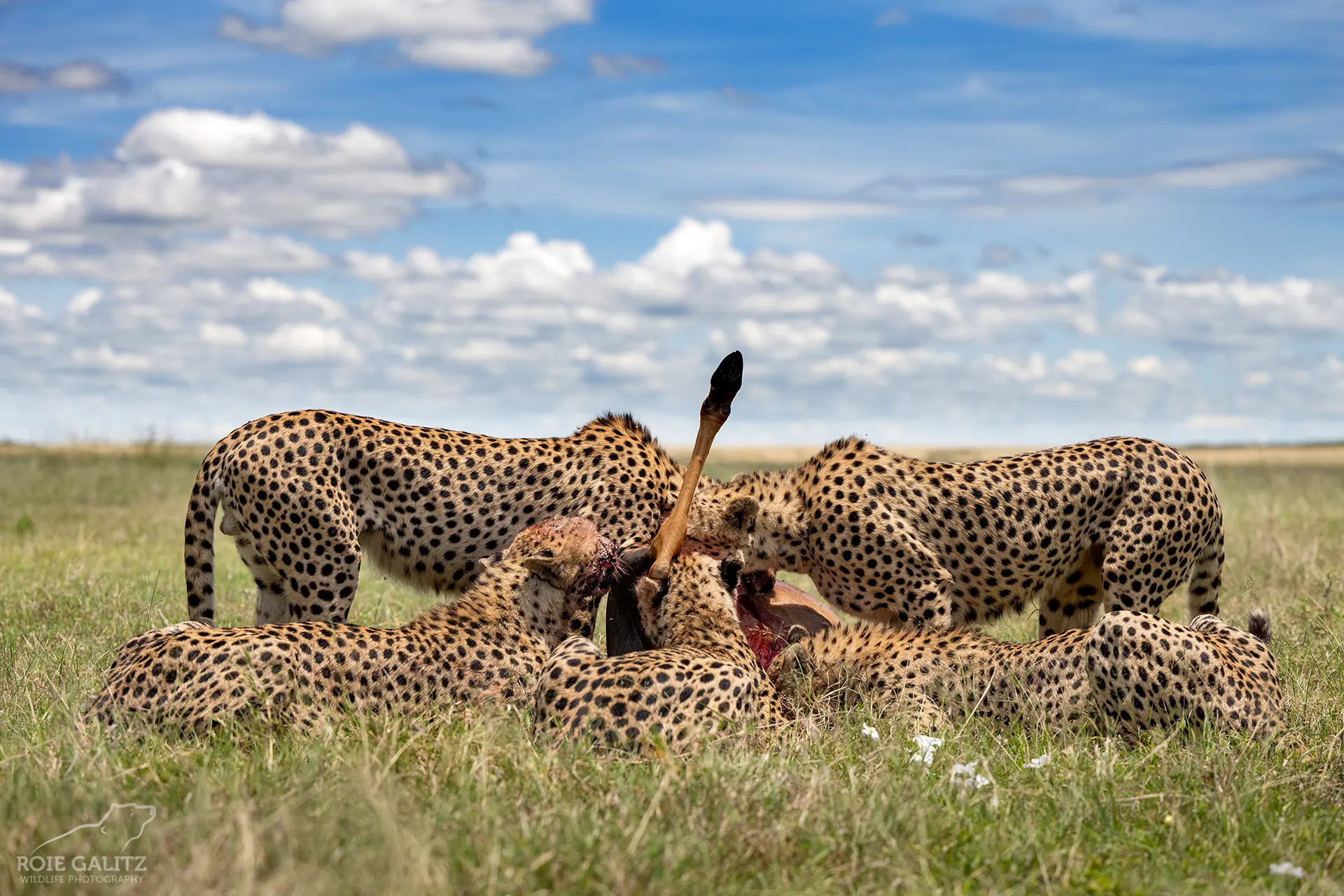 Kenya