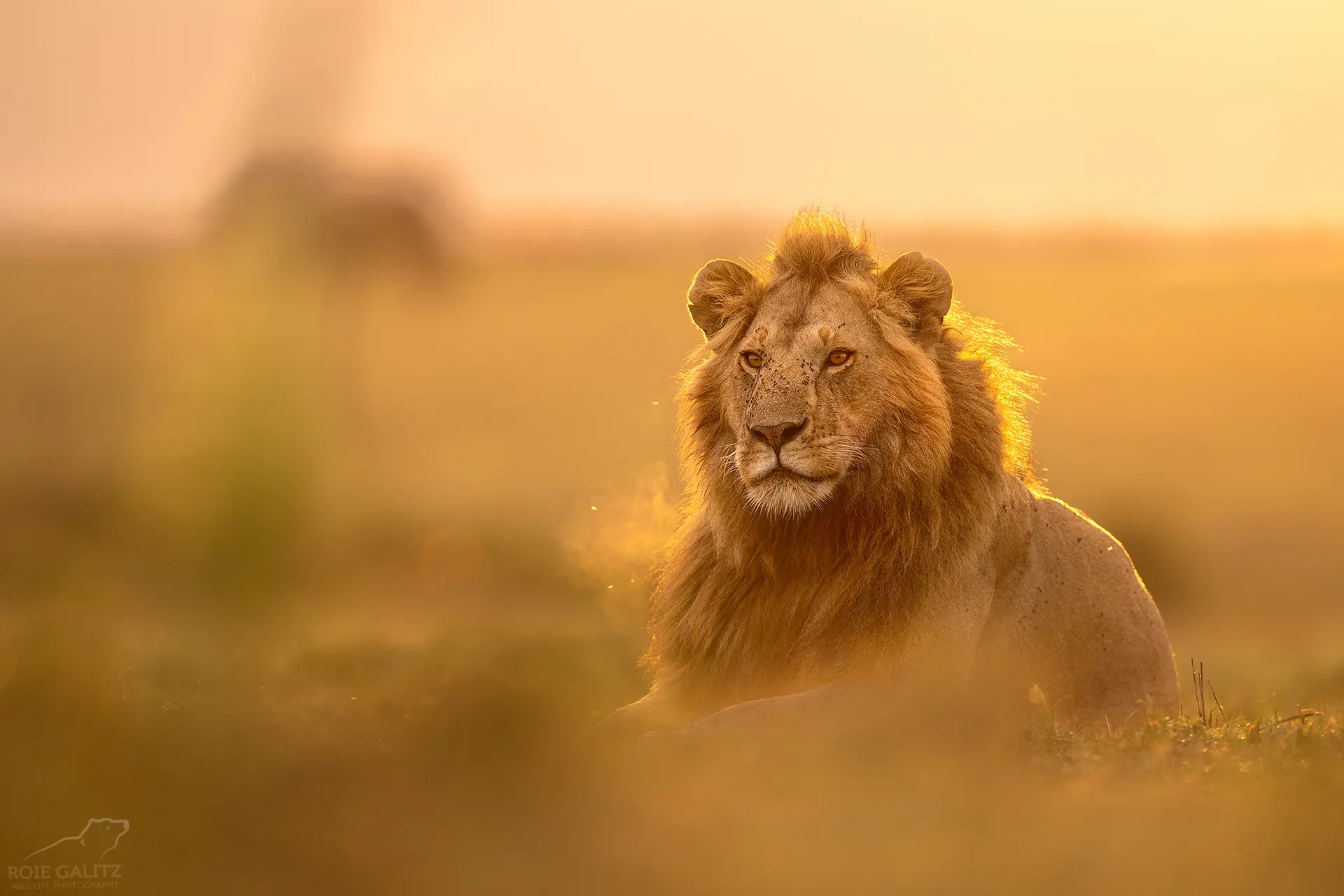 Kenya