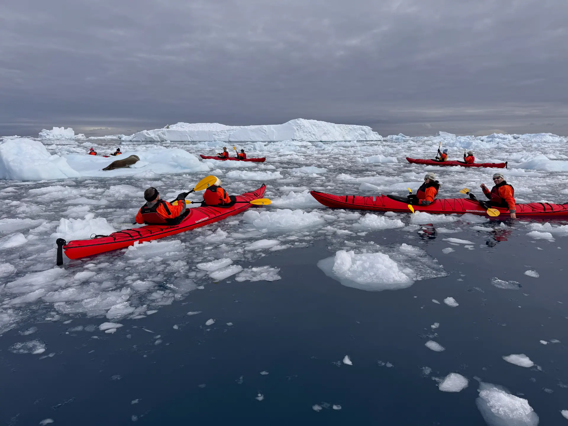 Antarctica