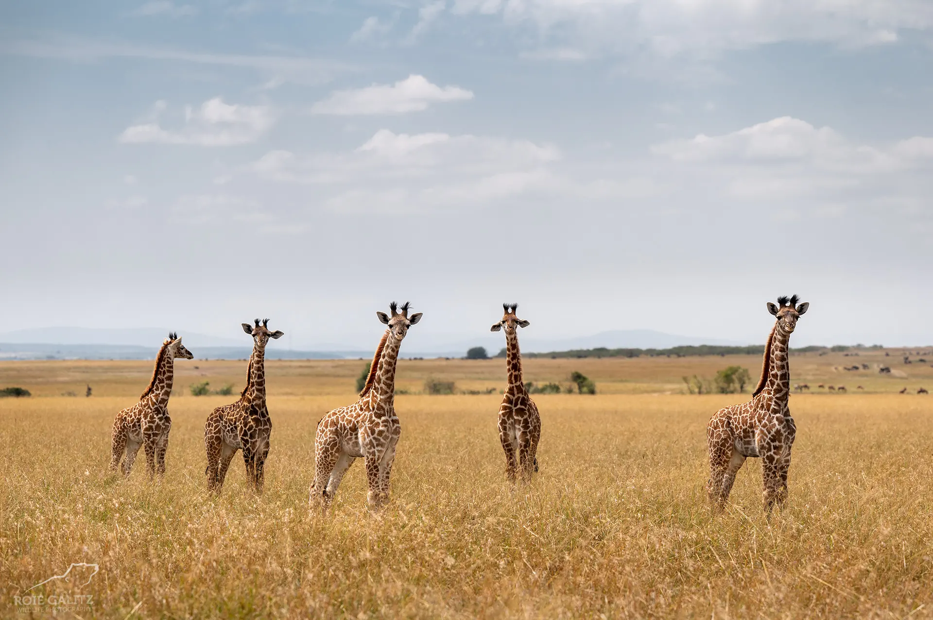 Kenya