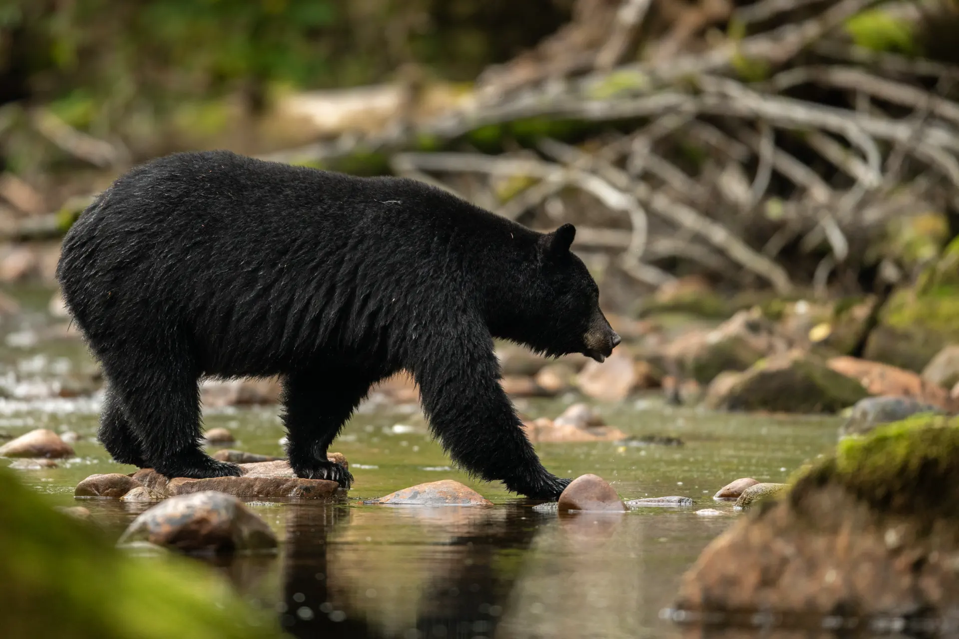 British Columbia