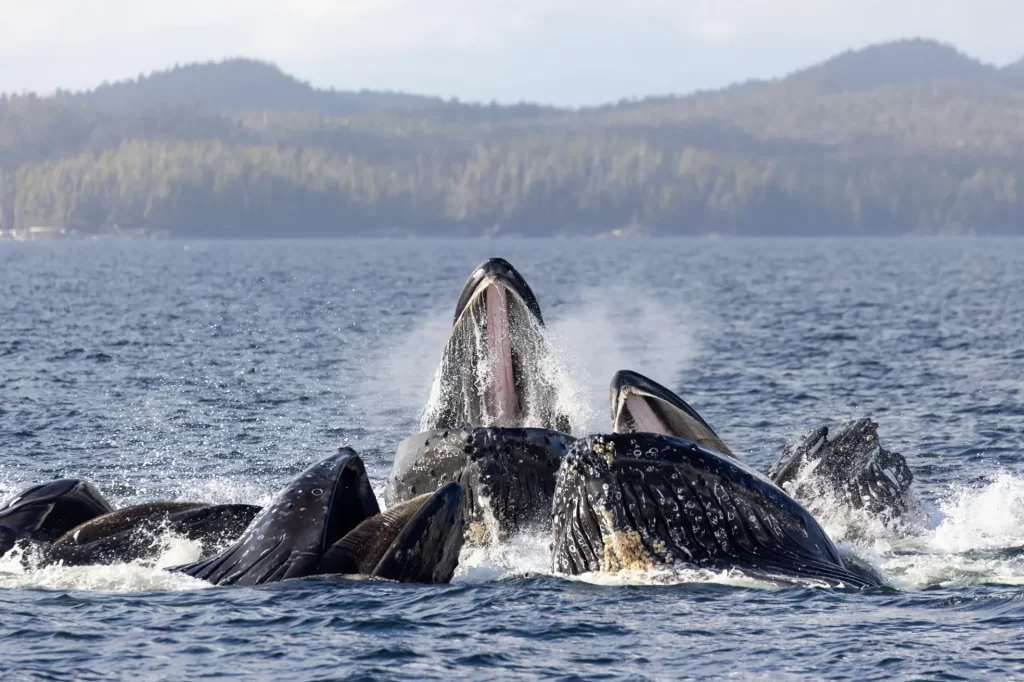 British Columbia