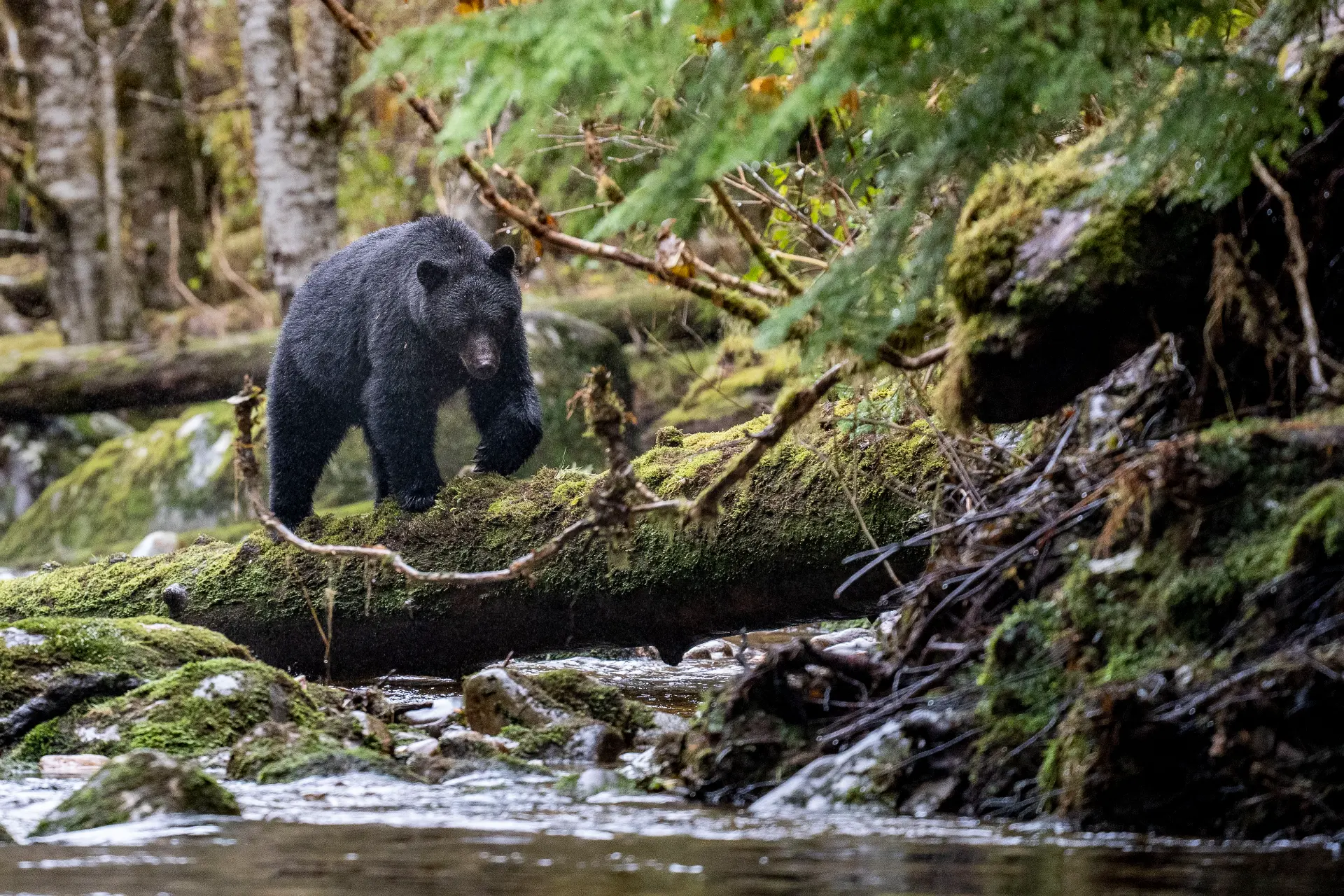 British Columbia