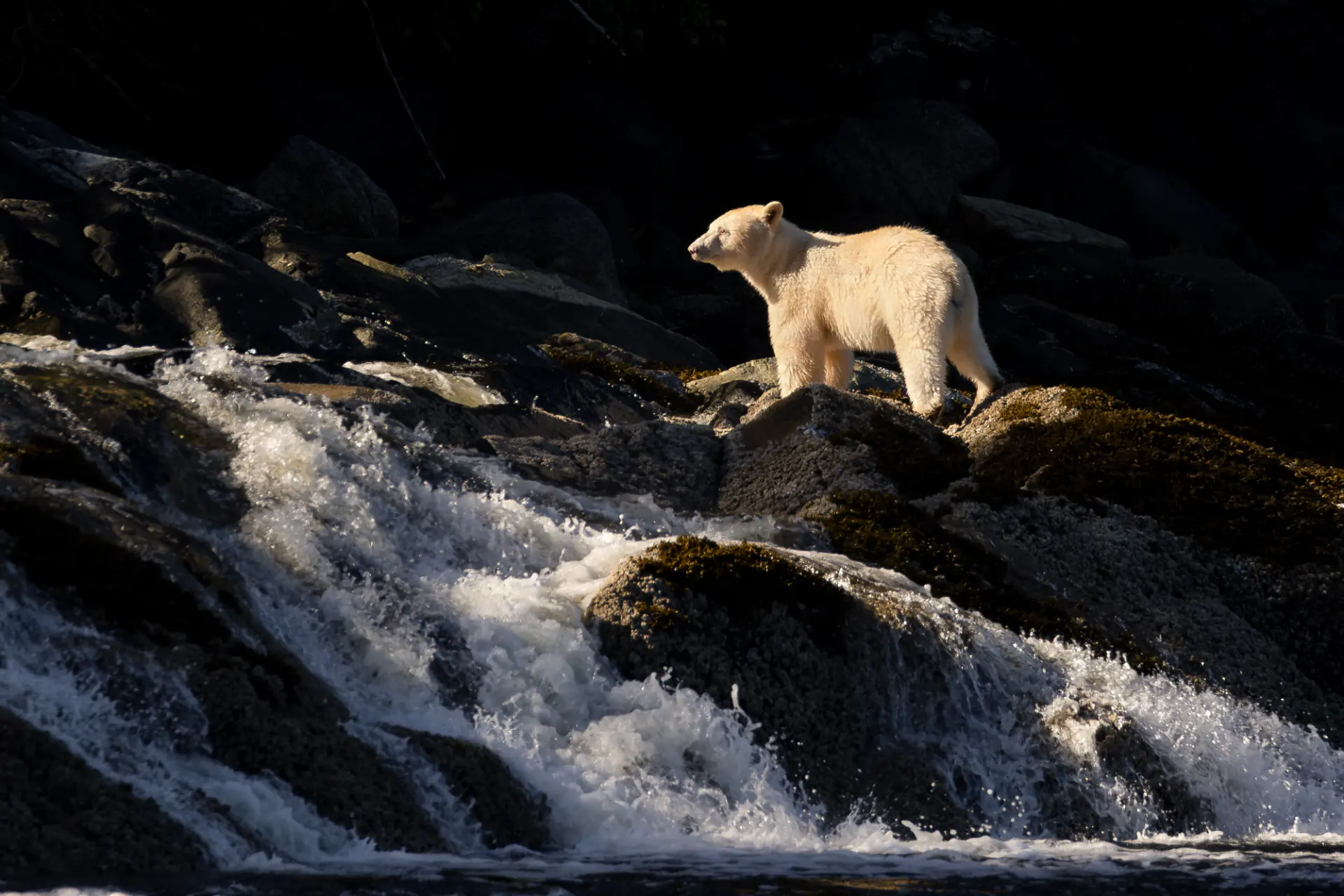 British Columbia